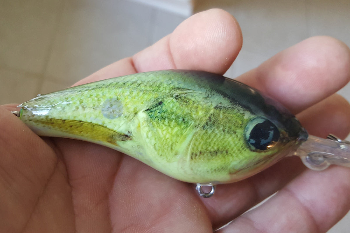ProSkinz Largemouth Bass Lure Skins