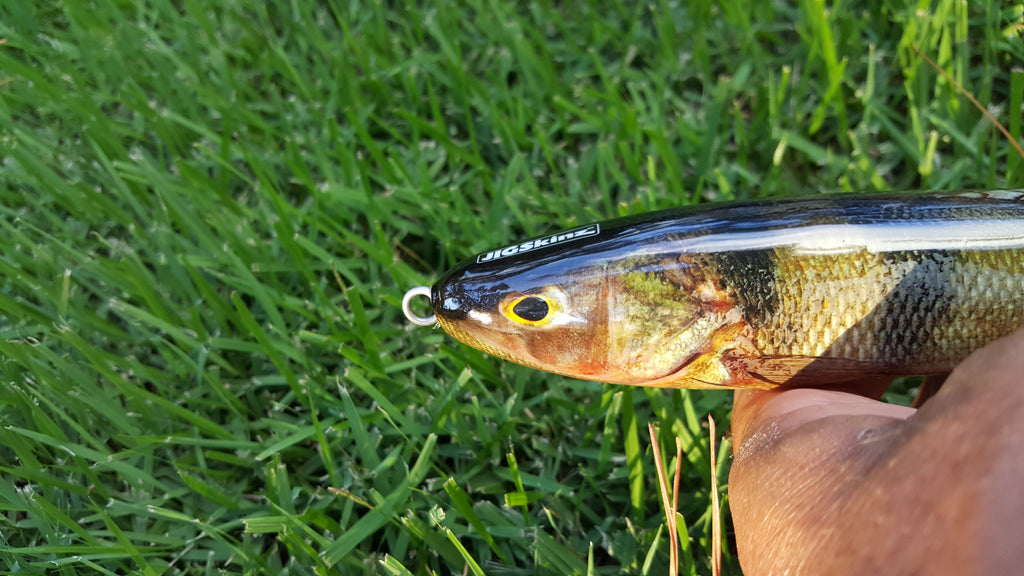 Perch Lure Skins