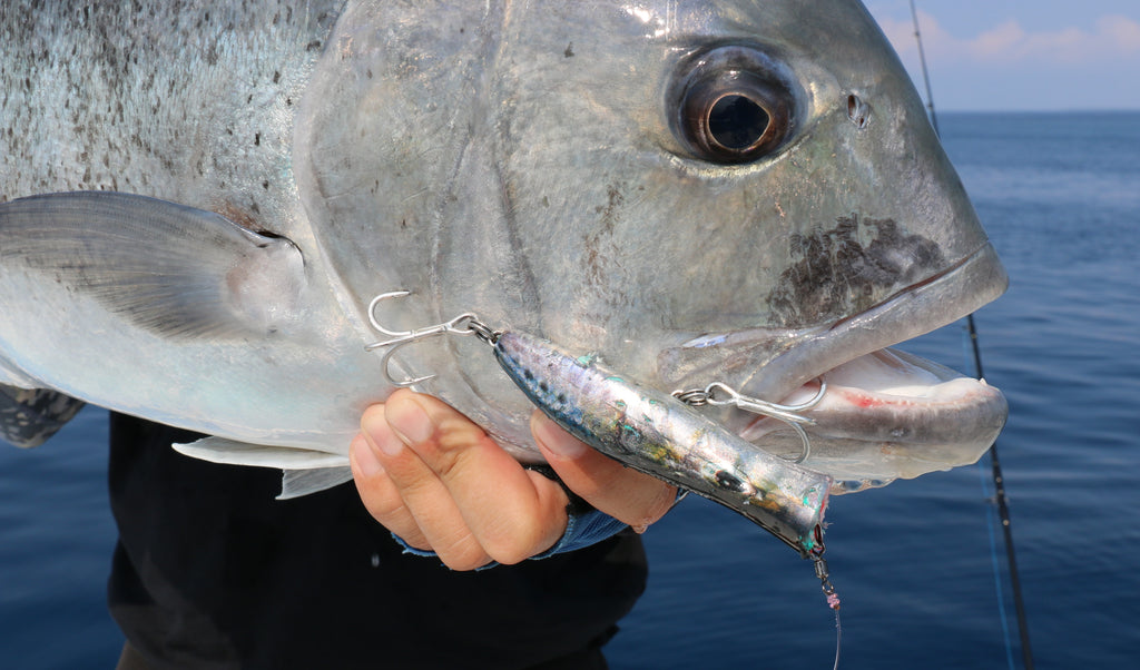 Foil Sardine Lure Skins