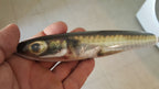 Sand Eel Lure Skins