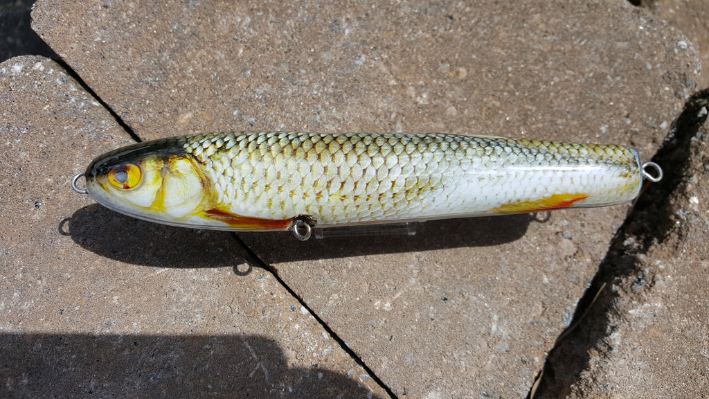 Roach Lure Skins
