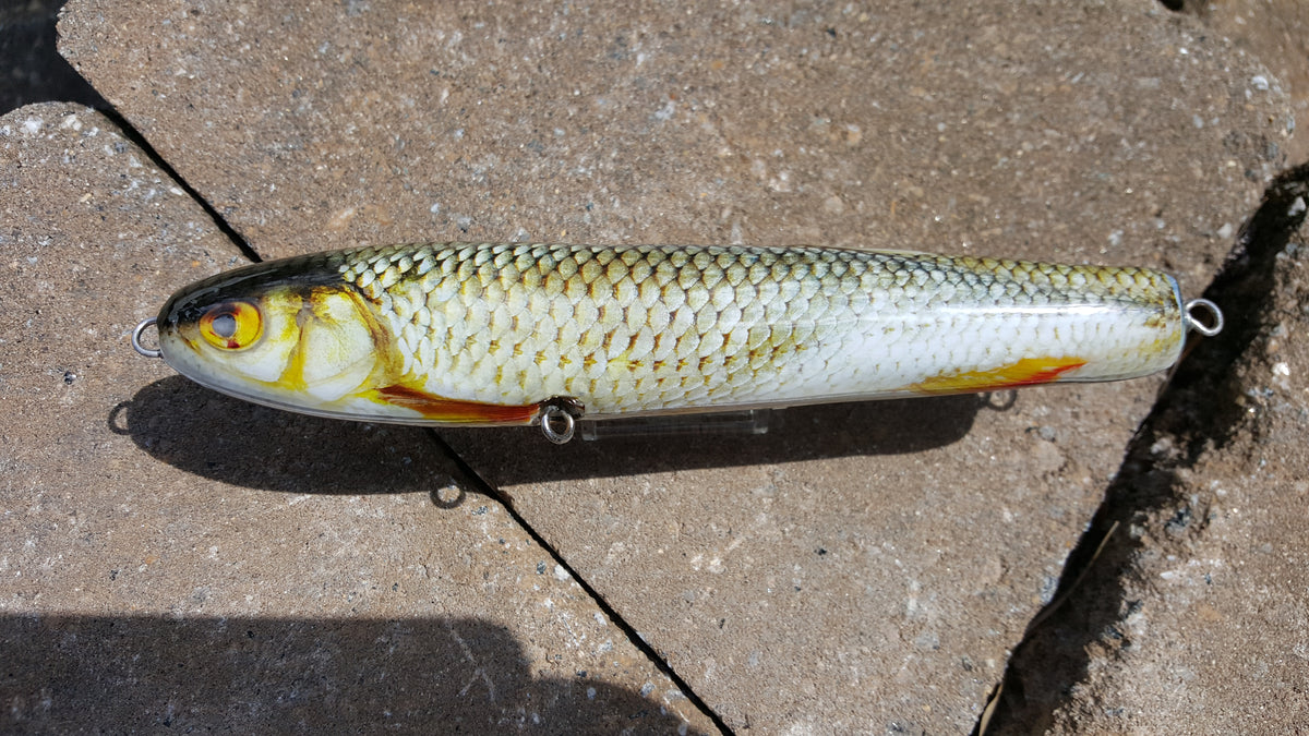 Roach Lure Skins