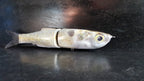 Gizzard Shad Lure Skins