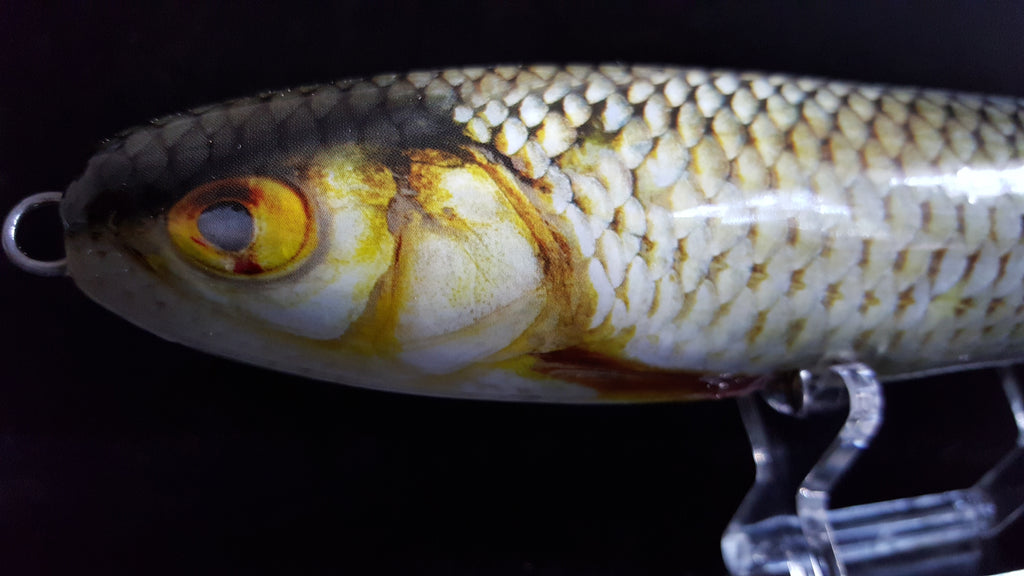 Roach Lure Skins