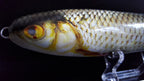 Roach Lure Skins
