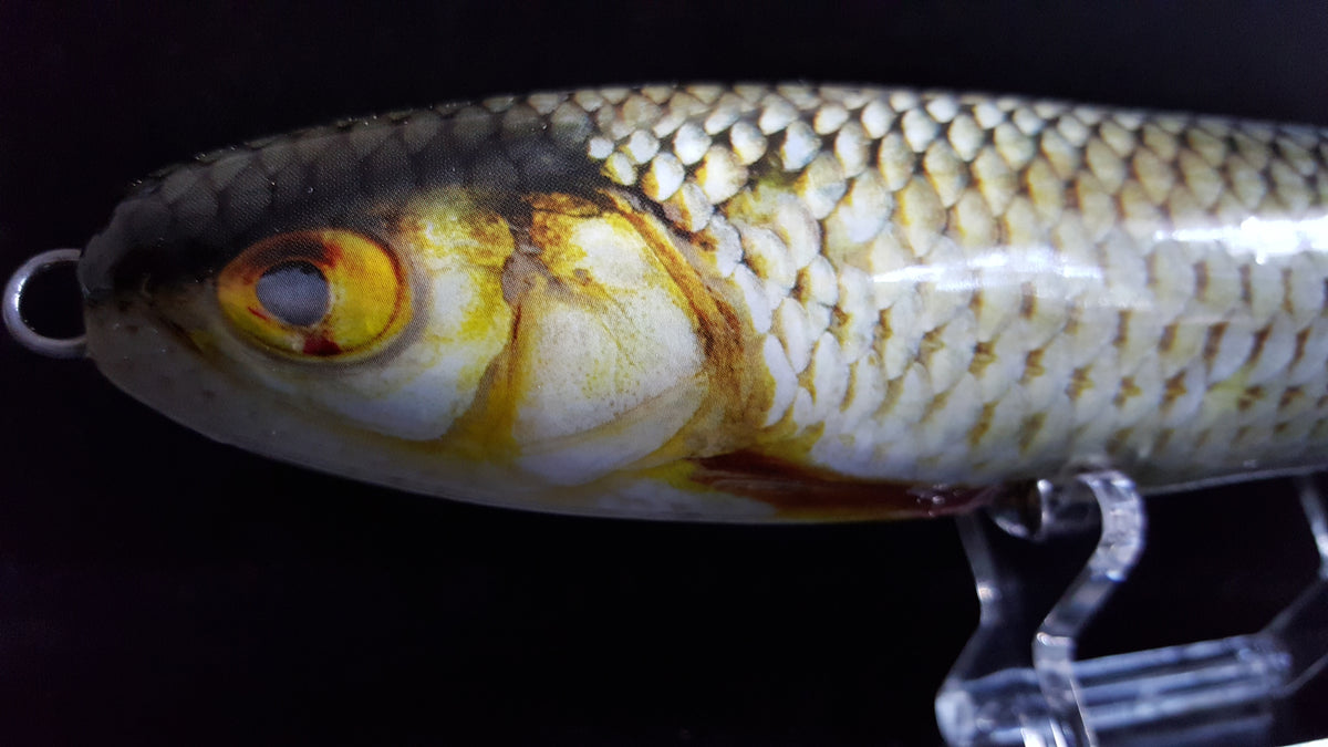 Roach Lure Skins