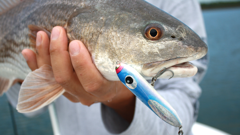 HoloGLOWphic Lure Skins