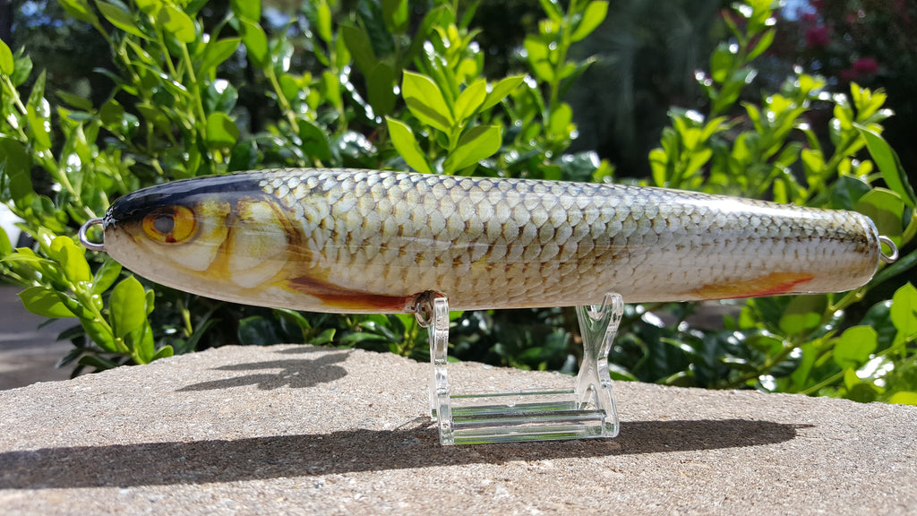 Roach Lure Skins