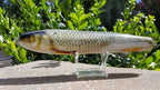 Roach Lure Skins