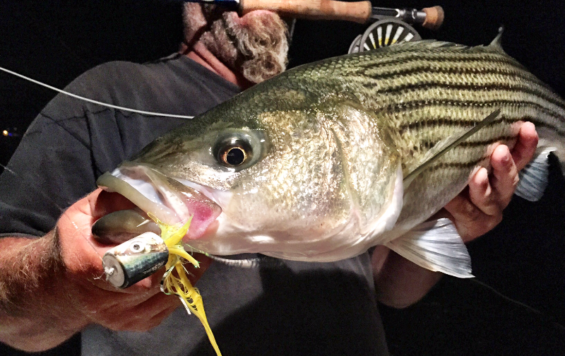 Blueback Herring Lure Skins