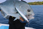 Foil Mackerel Lure Skins