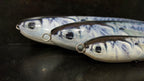 Ballyhoo Lure Skins