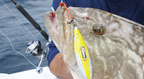 HoloGLOWphic Lure Skins