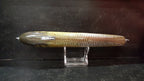Shiner Lure Skins