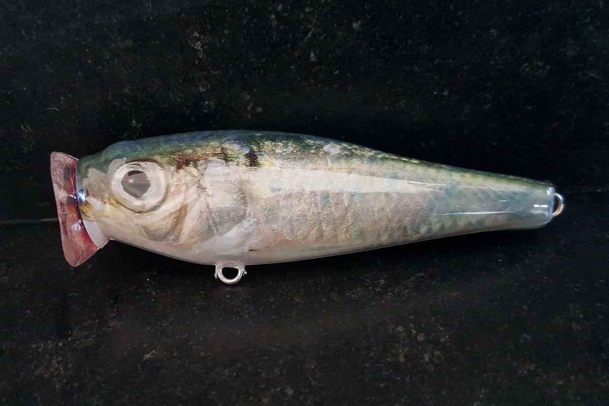 ProSkinz Blueback Herring Lure Skins