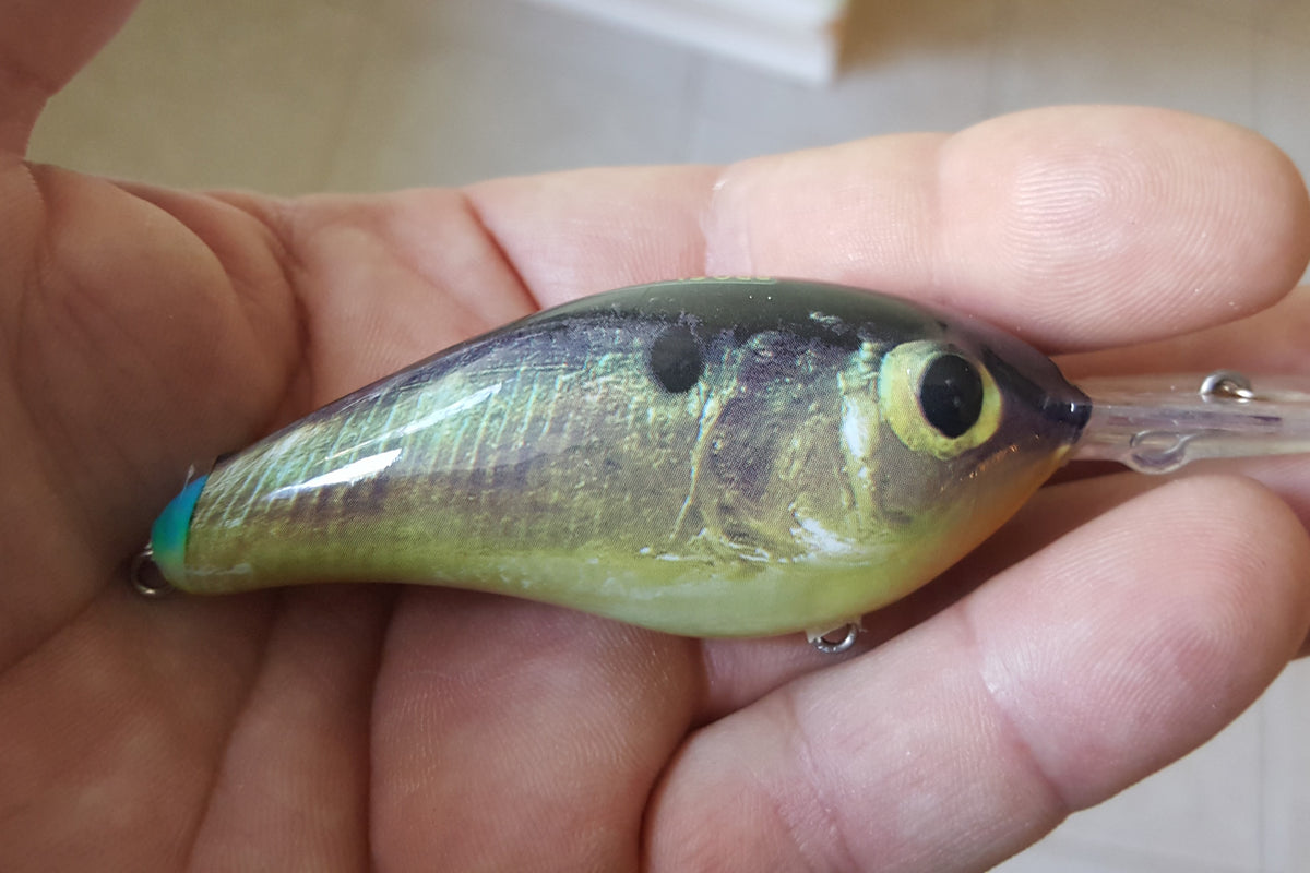 ProSkinz Shad Mix Lure Skins