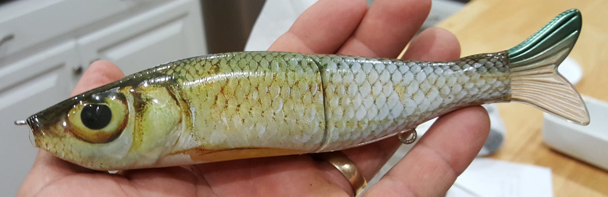 Shiner Lure Skins