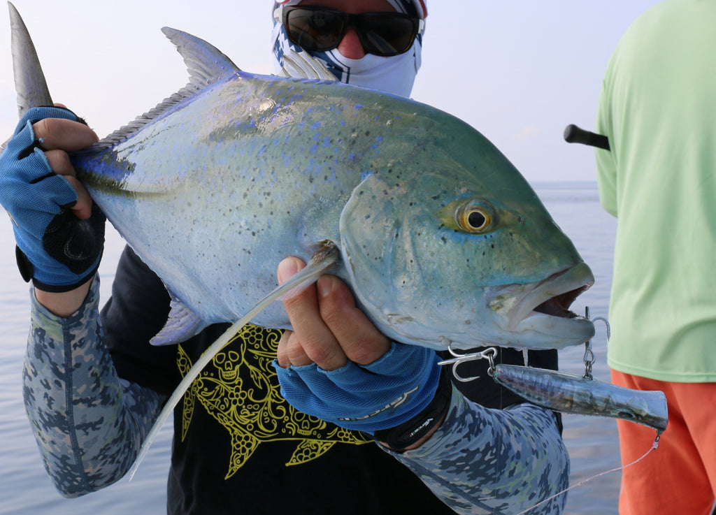 Foil Sardine Lure Skins