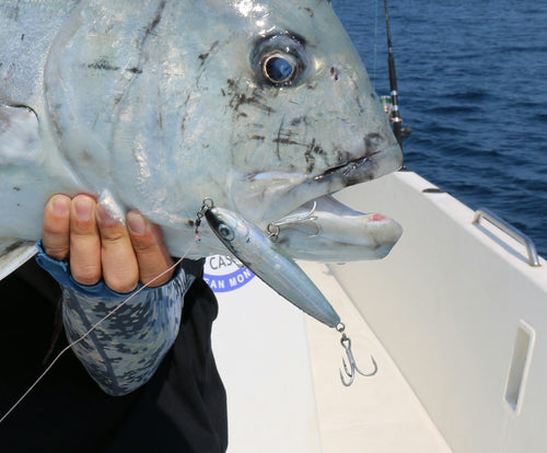 Foil Herring Lure Skins