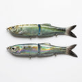 Foil blueback herring JigSkinz lure skins on two jointed swimbaits, holographic finish, held in hand