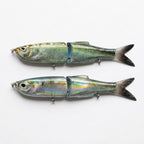 Foil blueback herring JigSkinz lure skins on two jointed swimbaits, holographic finish, held in hand