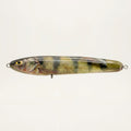 Yellow perch pattern JigSkinz lure skin on a stickbait, on clear stand outdoors on stone