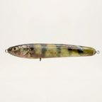 Yellow perch pattern JigSkinz lure skin on a stickbait, on clear stand outdoors on stone